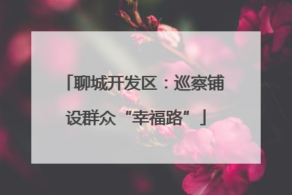 聊城开发区：巡察铺设群众“幸福路”
